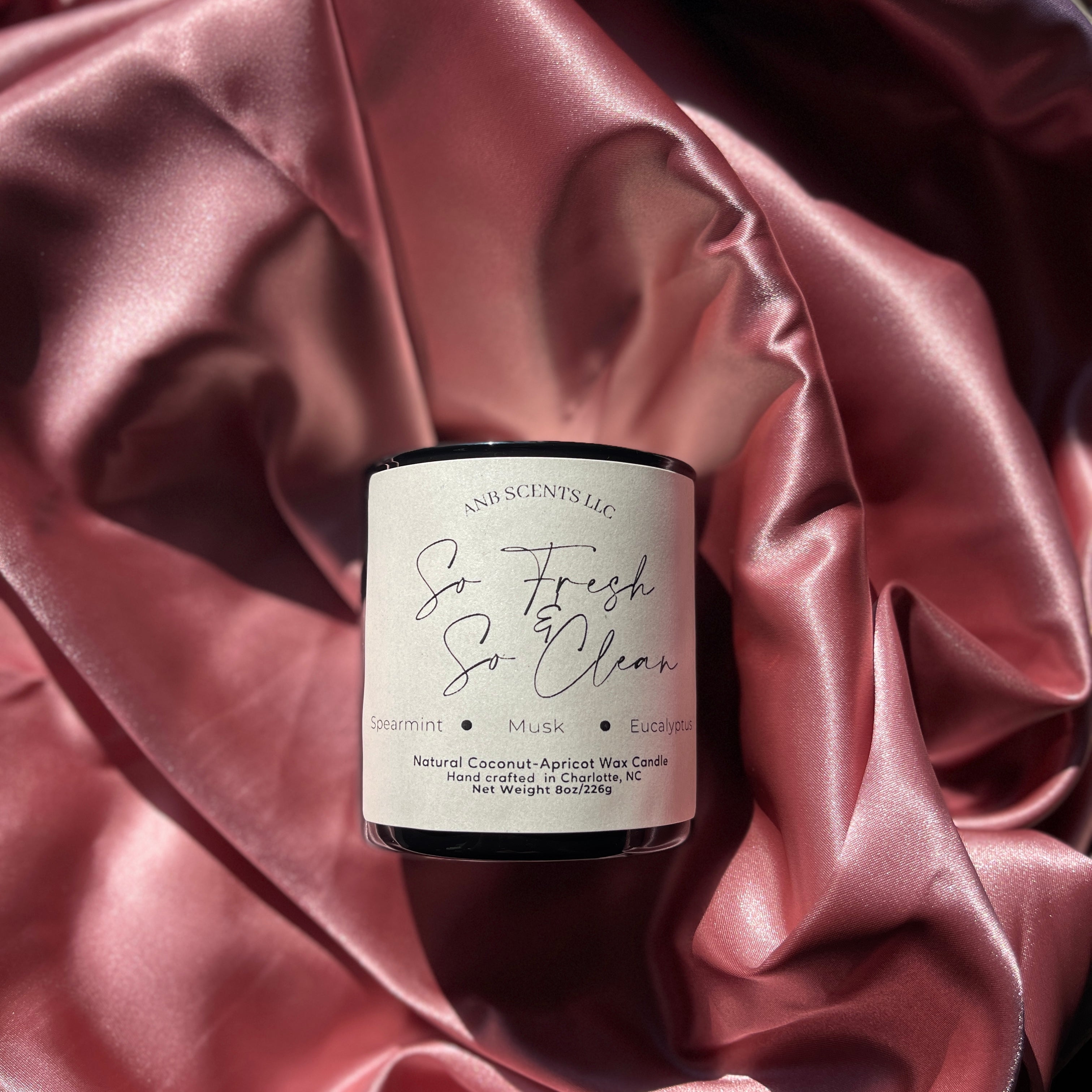 So fresh and So Clean – ANB Scents LLC